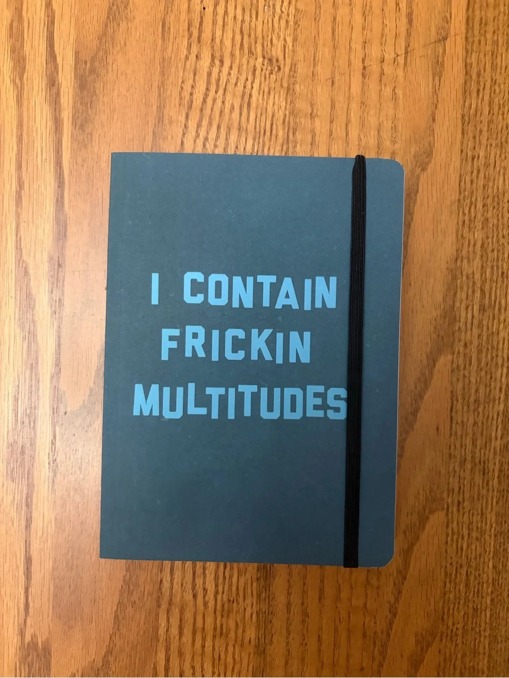 John Proctor is the Villain Notebook